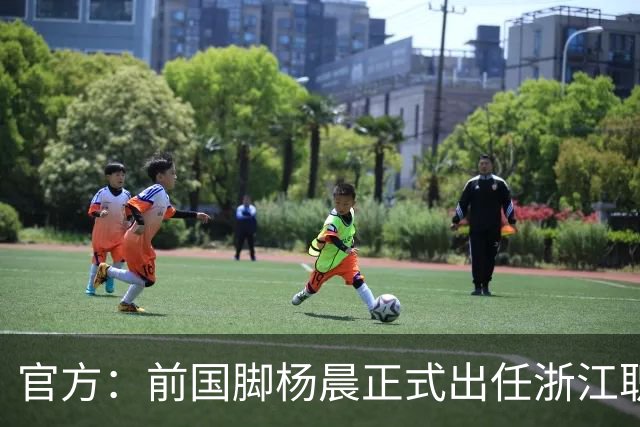 官方：前国脚杨晨正式出任浙江职业足球俱乐部总经理