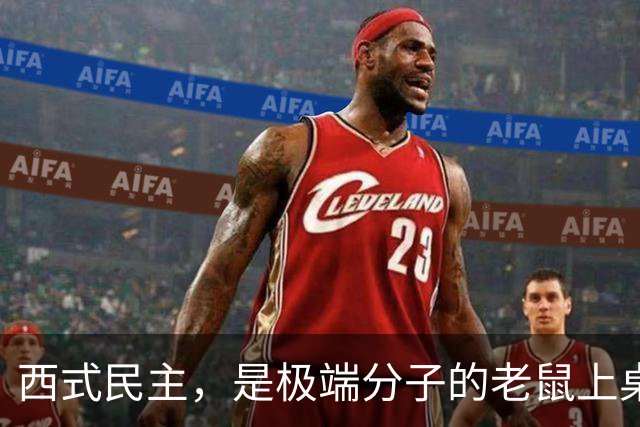 西式民主,是极端分子的老鼠上桌